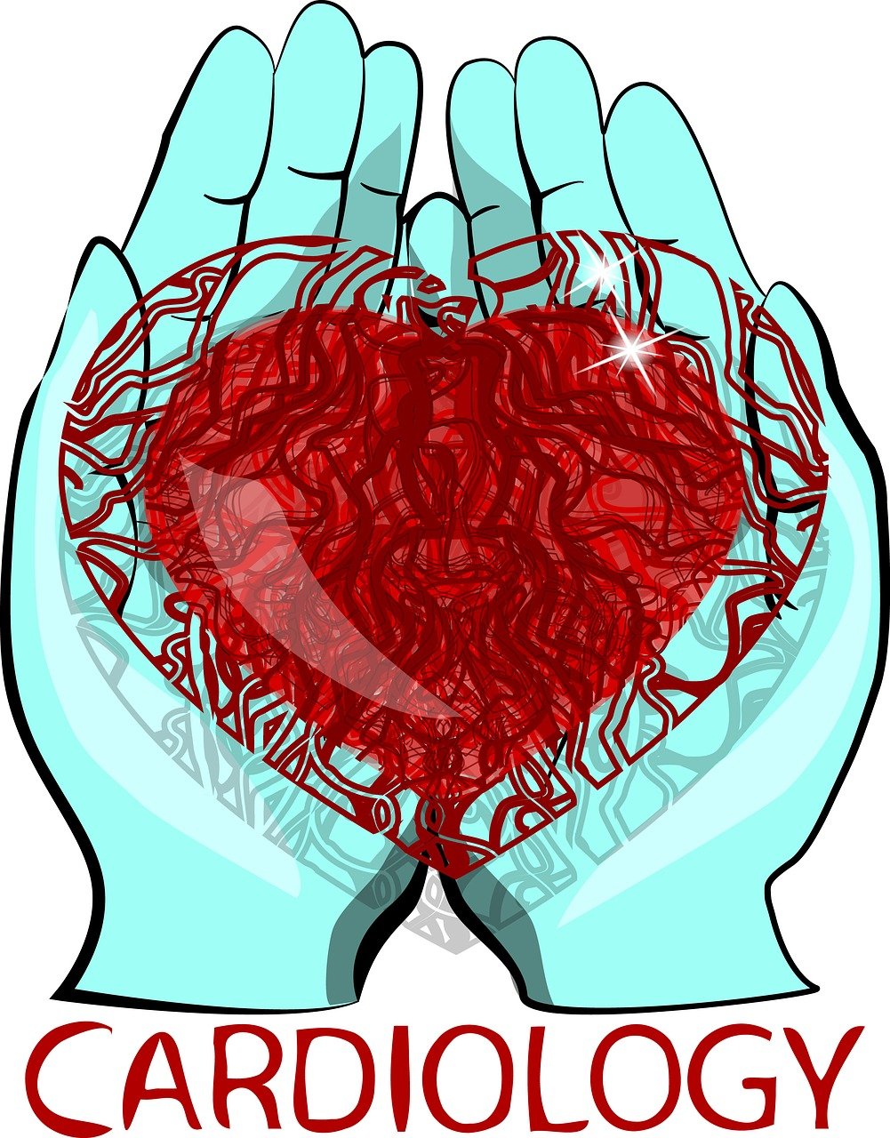 a heart, hands, the medicine-2533143.jpg